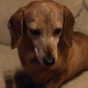 Meet your Posher, Janie